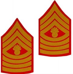 GI USMC Master Gunnery Sergeant Embroidered Chevron Set